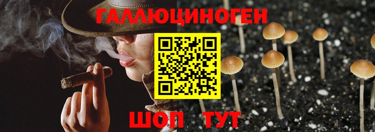 Сланцы  Псилоцибиновые грибы MAGIC MUSHROOMS  дарнет шоп  Вход с VPN 